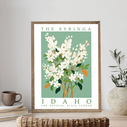 Idaho State Flower - Syringa | Paint by Numbers Kit