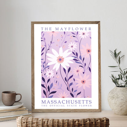 Massachusetts State Flower - Mayflower | Paint by Numbers Kit