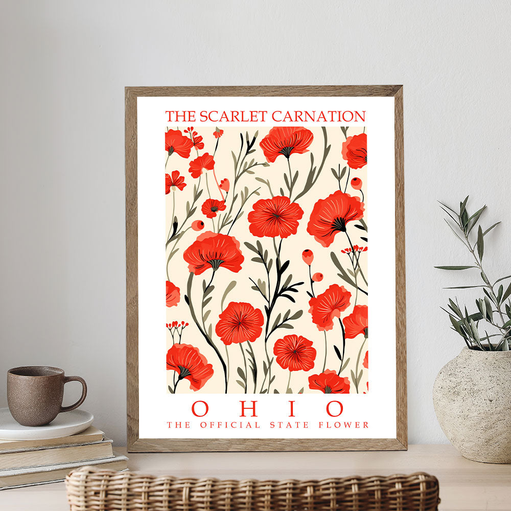 Ohio State Flower - Scarlet Carnation | Paint by Numbers Kit