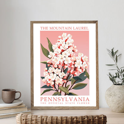 Pennsylvania State Flower - Mountain Laurel | Paint by Numbers Kit