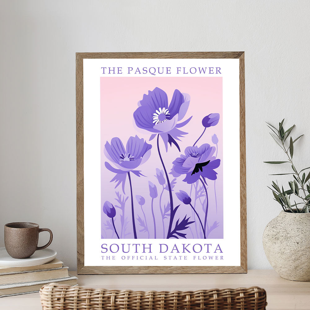 South Dakota State Flower - Pasque Flower | Paint by Numbers Kit