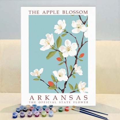 Arkansas State Flower - Apple Blossom | Paint by Numbers Kit