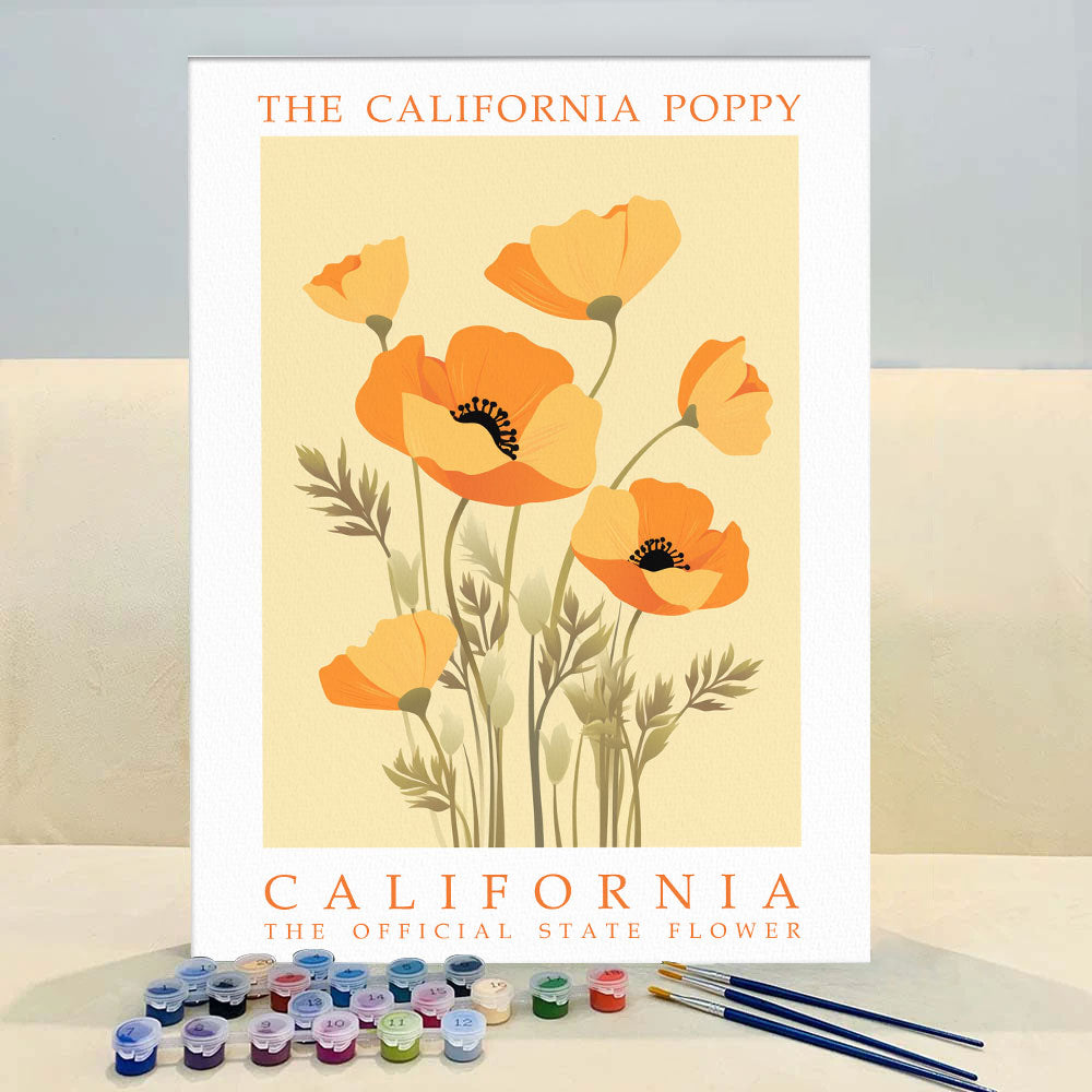 California State Flower - California Poppy | Paint by Numbers Kit