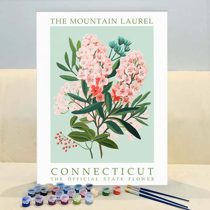 Connecticut State Flower - Mountain Laurel | Paint by Numbers Kit