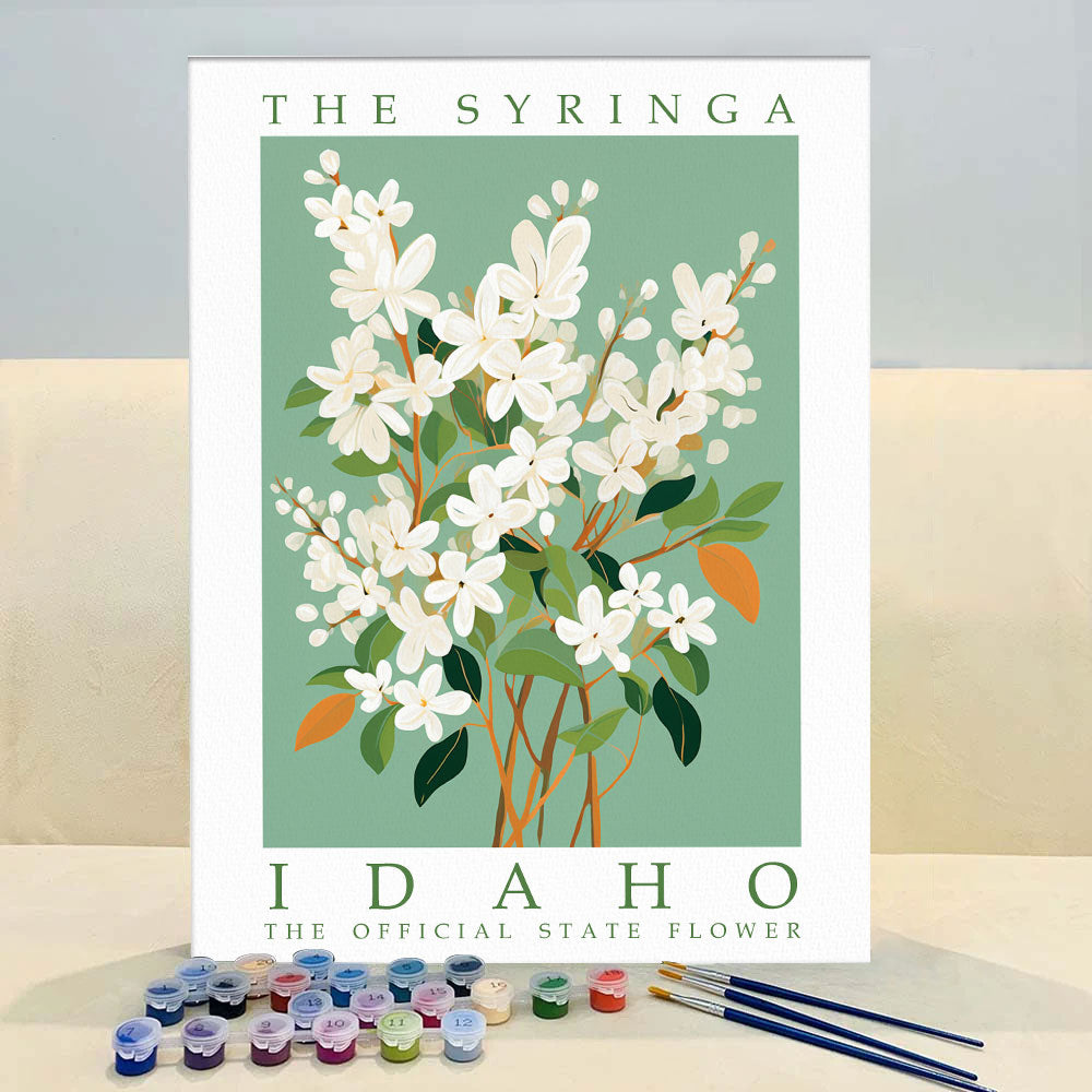 Idaho State Flower - Syringa | Paint by Numbers Kit