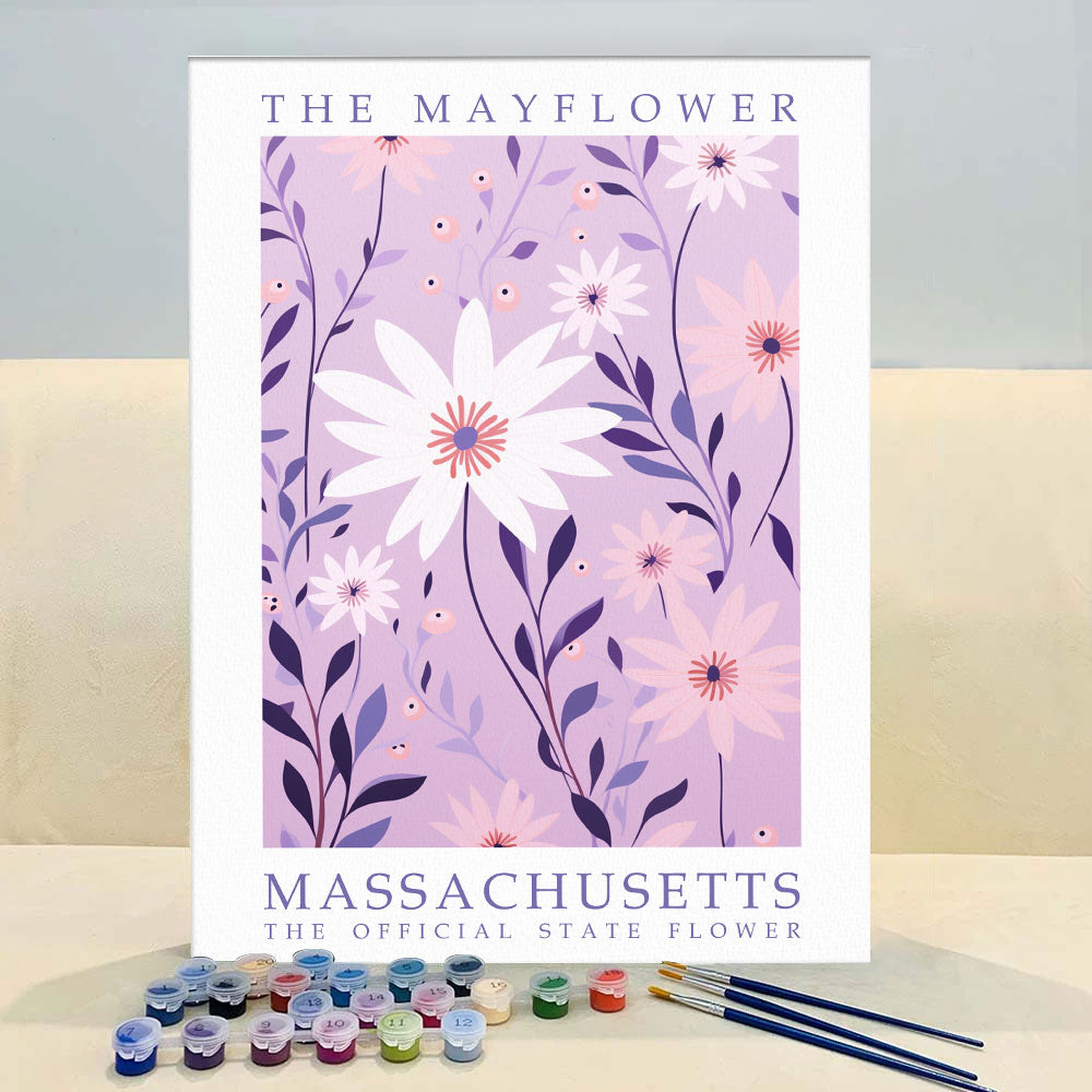 Massachusetts State Flower - Mayflower | Paint by Numbers Kit