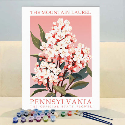 Pennsylvania State Flower - Mountain Laurel | Paint by Numbers Kit