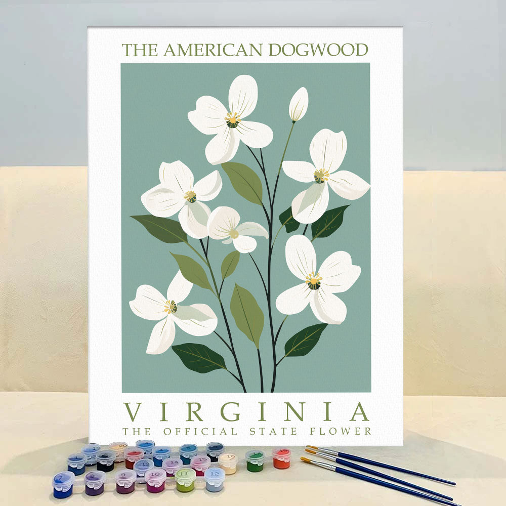 Virginia State Flower - American Dogwood | Paint by Numbers Kit