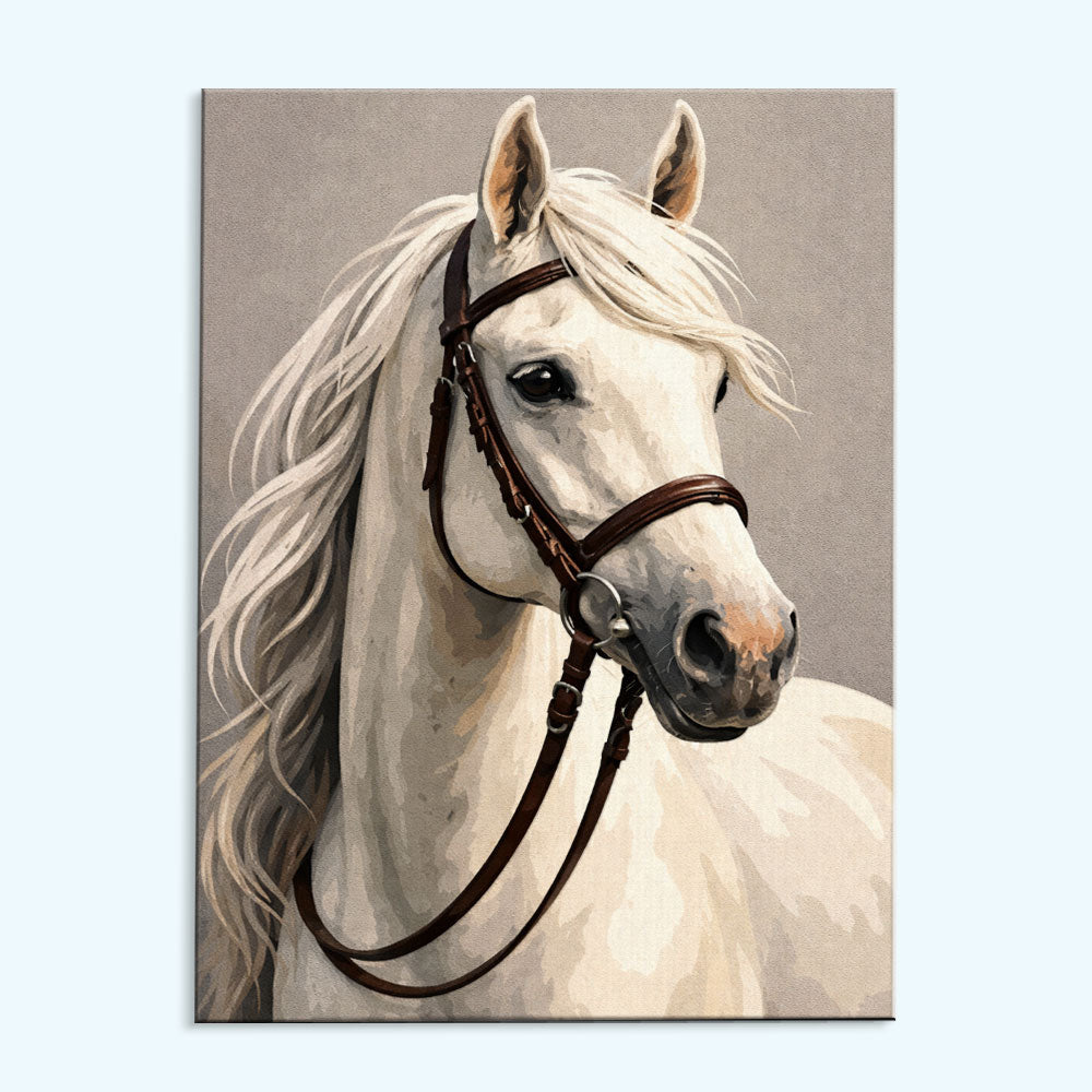 Silent White Horse| Paint by Numbers Kit