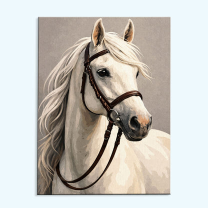 Silent White Horse| Paint by Numbers Kit