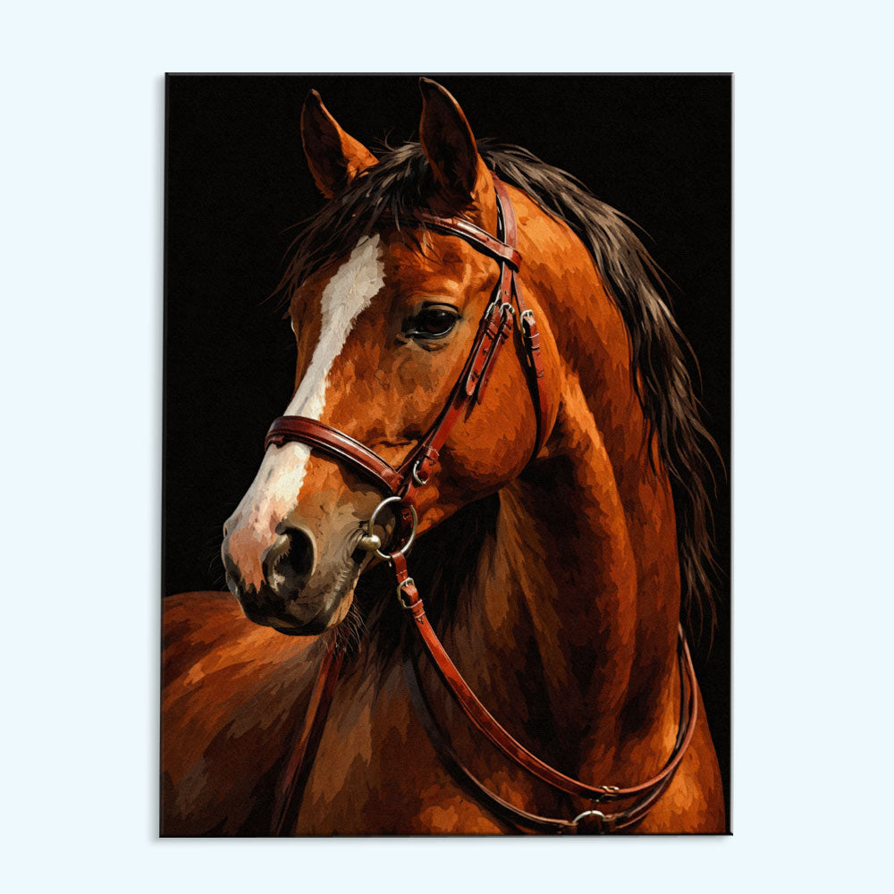 Noble Reign Horse | Paint by Numbers Kit