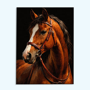 Noble Reign Horse | Paint by Numbers Kit