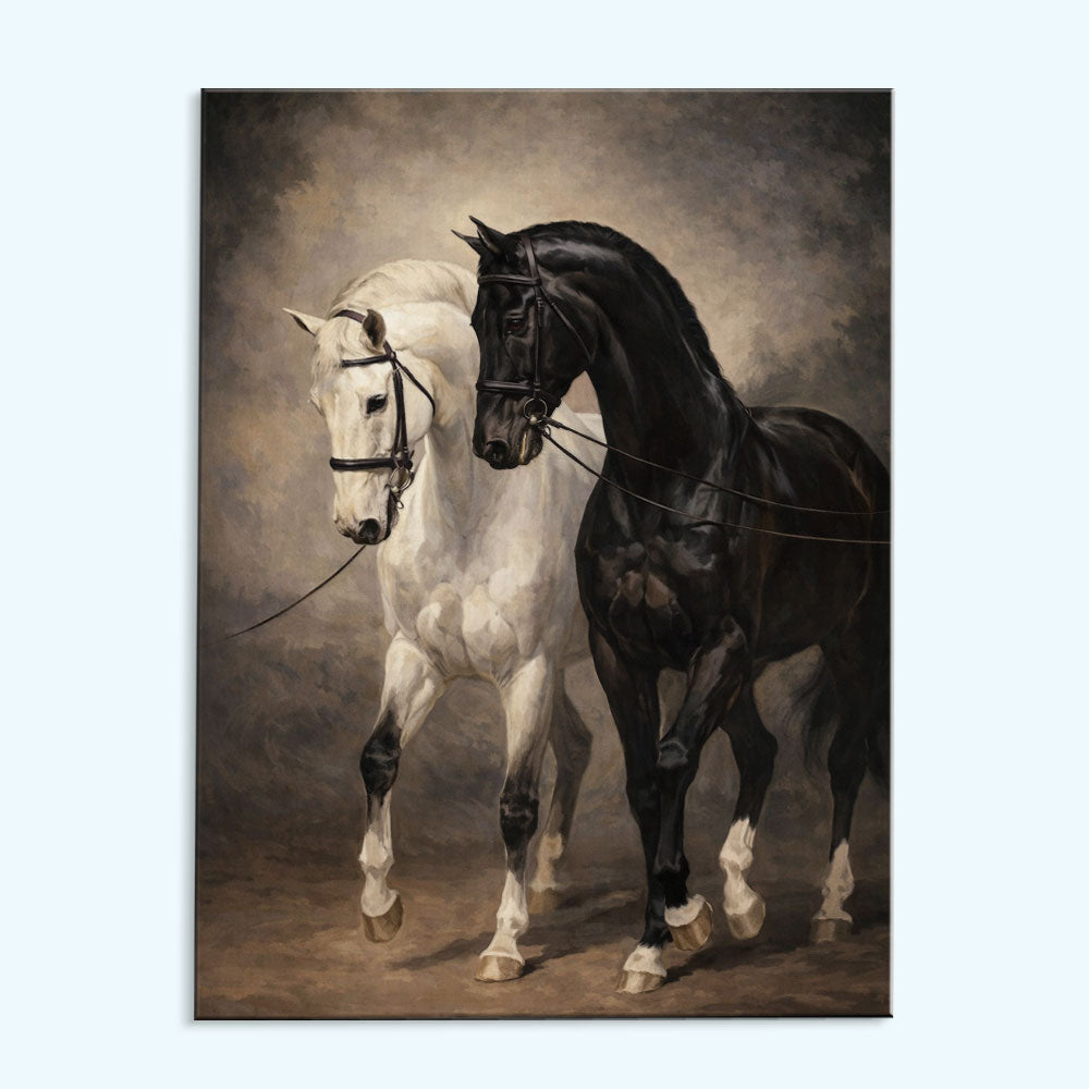 Harmony in Contrast Horse | Paint by Numbers Kit