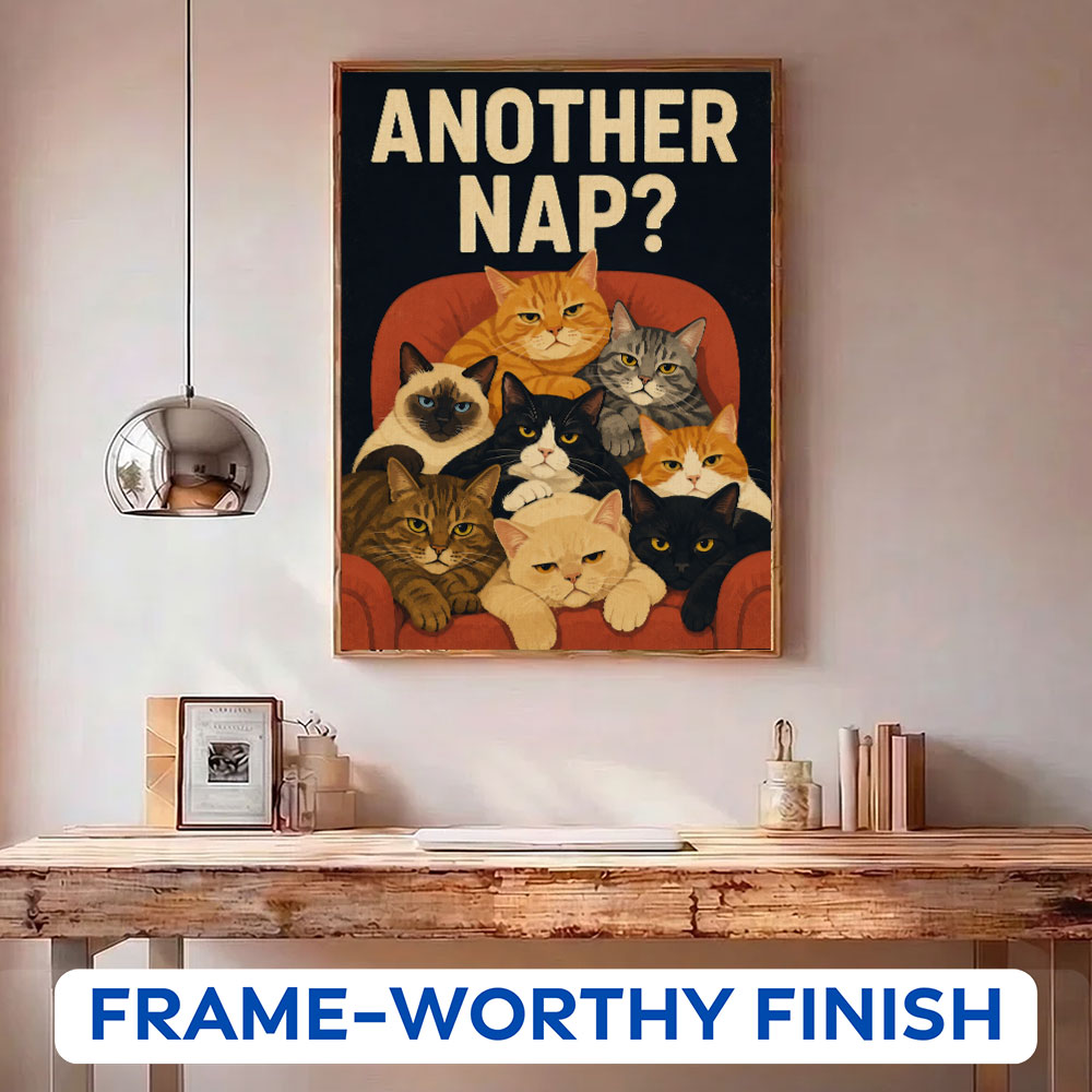Another Nap? | Paint by Numbers Kit