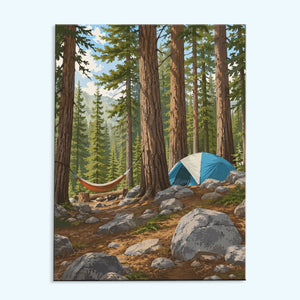 Redwood Hammock Camp | Paint by Numbers Kit