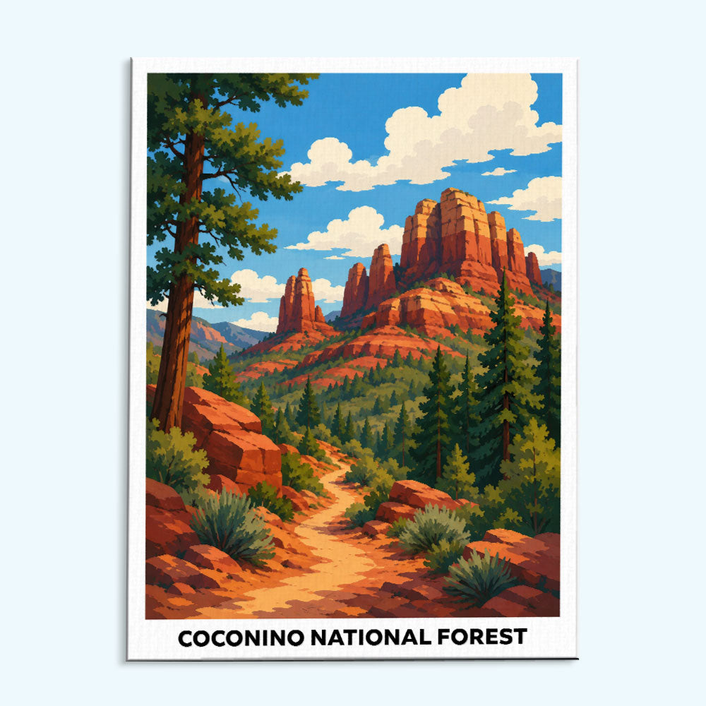 Coconino National Forest | Paint by Numbers Kit