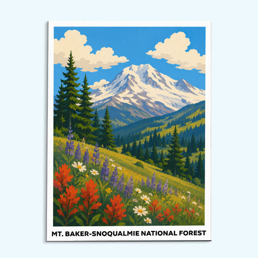 Mt. Baker - Snoqualmie National Forest | Paint by Numbers Kit