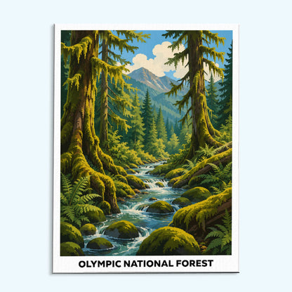 Olympic National Forest | Paint by Numbers Kit