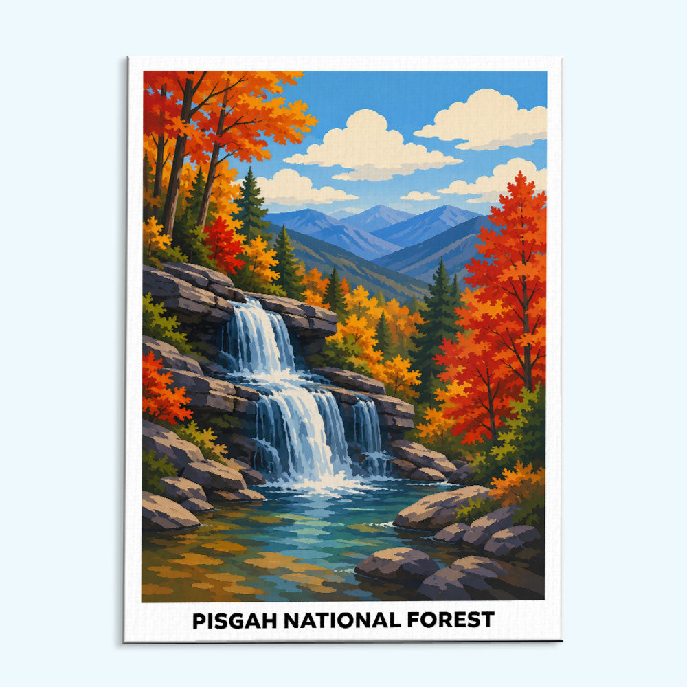 Pisgah National Forest | Paint by Numbers Kit