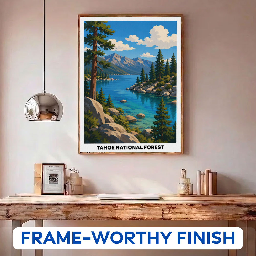 Tahoe National Forest | Paint by Numbers Kit