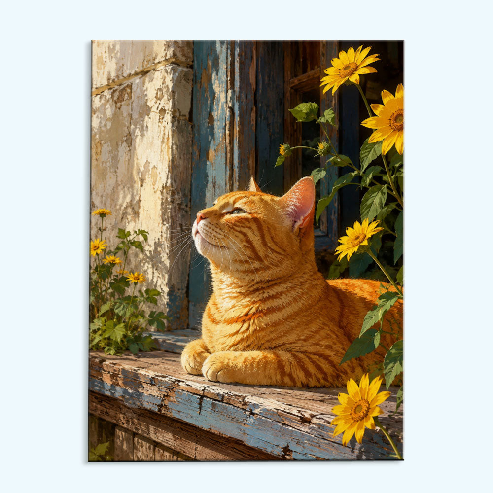 Sun-Kissed Ginger Cat | Paint by Numbers Kit