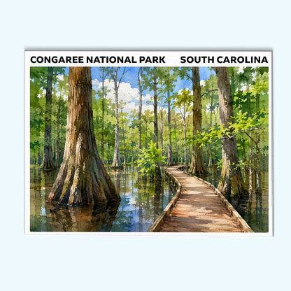 Congaree National Park - South Carolina | Paint by Numbers Kit