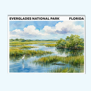 Everglades National Park - Florida | Paint by Numbers Kit