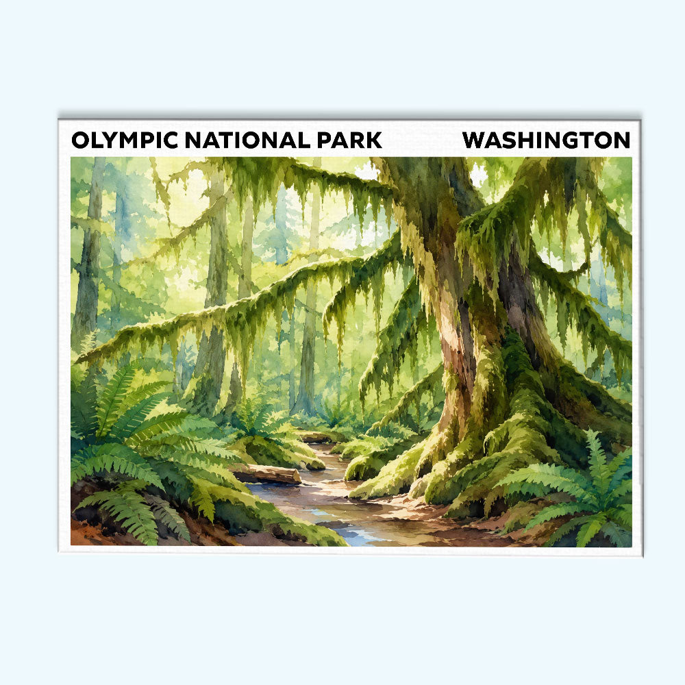 Olympic National Park - Washington | Paint by Numbers Kit