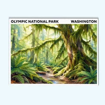 Olympic National Park - Washington | Paint by Numbers Kit