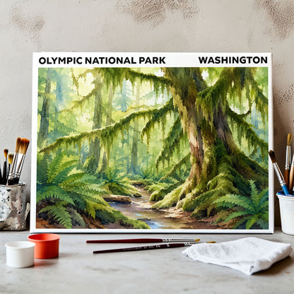 Olympic National Park - Washington | Paint by Numbers Kit