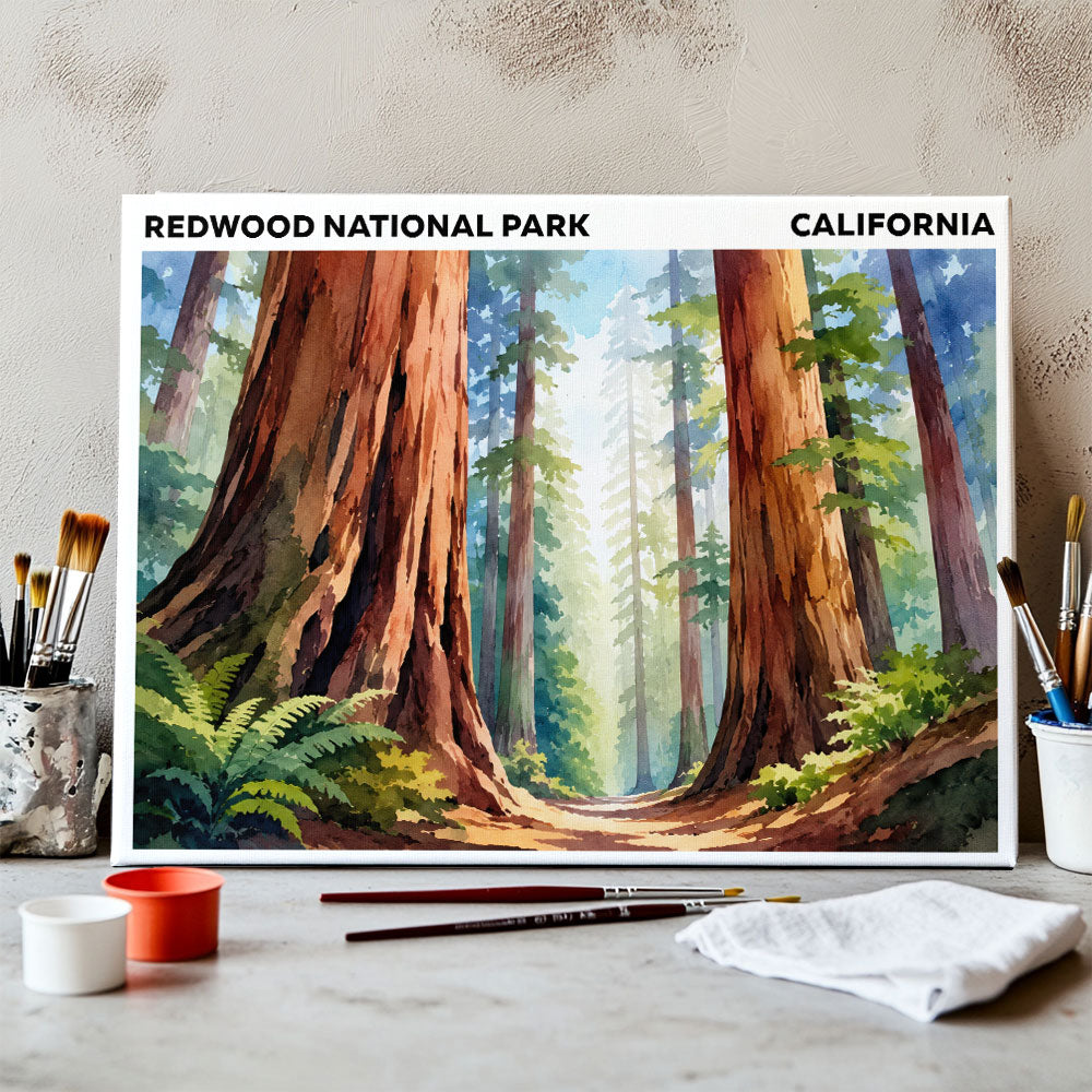 Redwood National Park - California | Paint by Numbers Kit