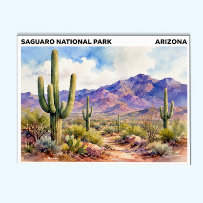 Saguaro National Park - Arizona | Paint by Numbers Kit