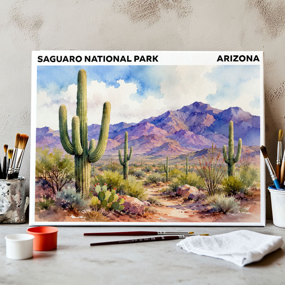 Saguaro National Park - Arizona | Paint by Numbers Kit