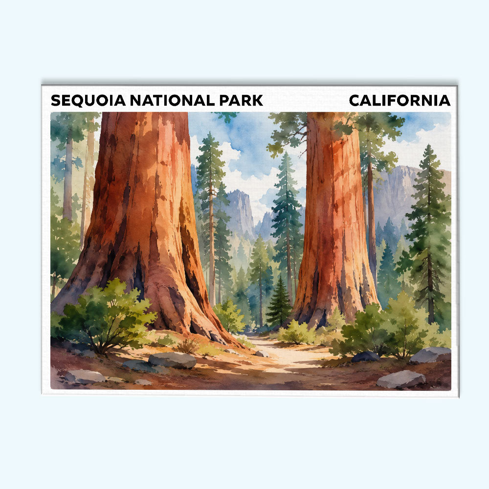 Sequoia National Park - California | Paint by Numbers Kit