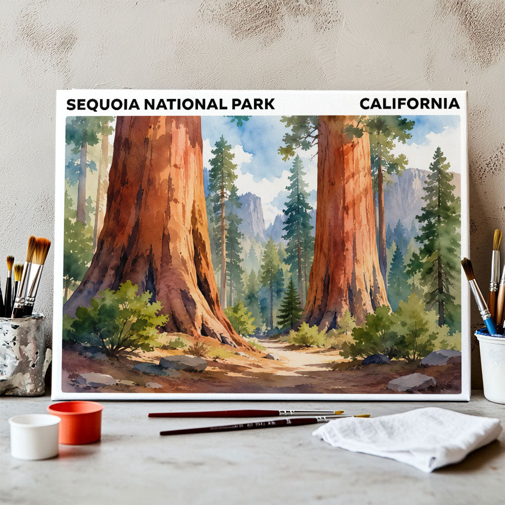 Sequoia National Park - California | Paint by Numbers Kit