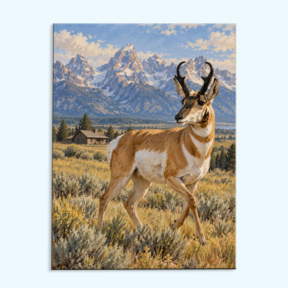 Pronghorn | Paint by Numbers Kit
