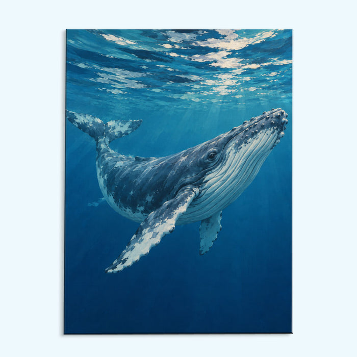 Humpback Whale