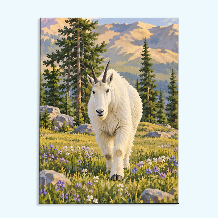 Mountain Goat
