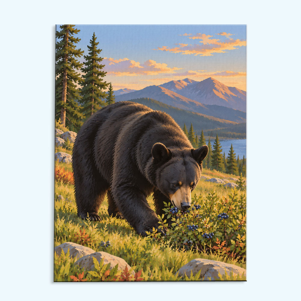 American Black Bear | Paint by Numbers Kit