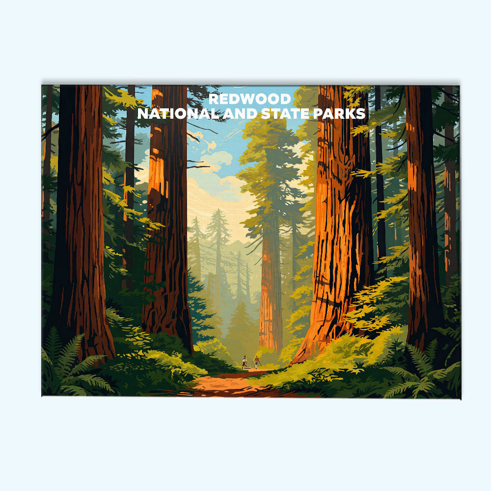 Redwood National and State Parks - Landscape | Paint by Numbers Kit