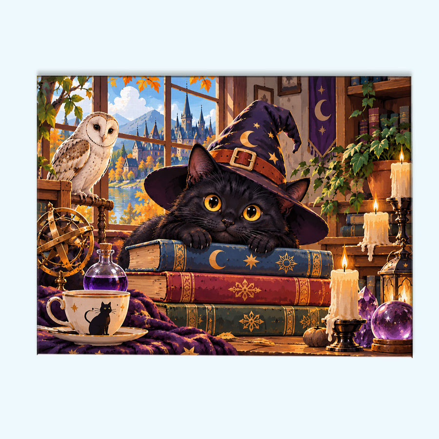 The Little Witch Cat | Paint by Numbers Kit