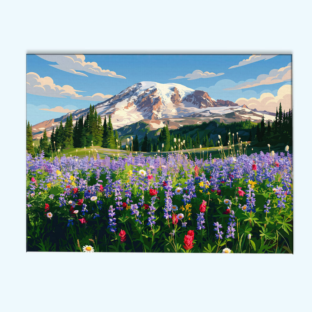 Wildflower Nature Trails at Paradise - Mount Rainier | Paint by Numbers Kit