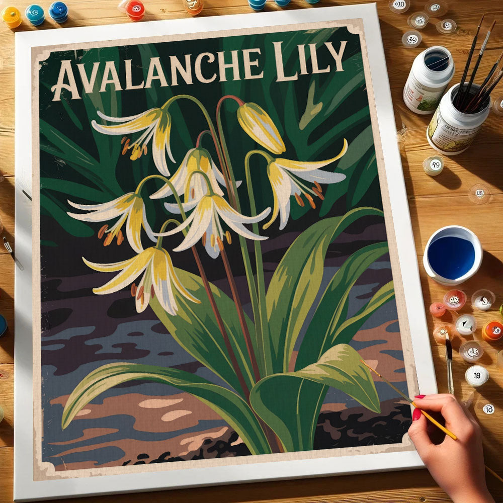 Avalanche Lily - US Wildflowers | Paint by Numbers Kit