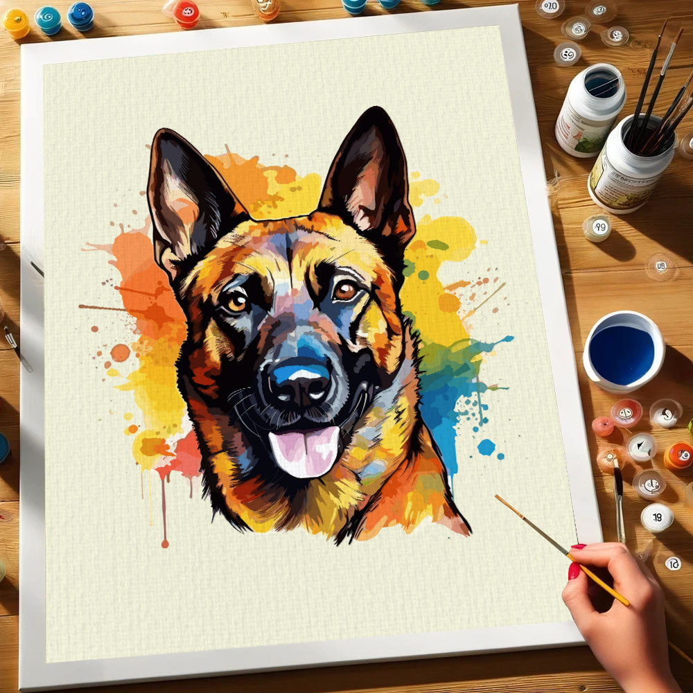 Belgian Malinois - Colorful Dog | Paint by Numbers Kit