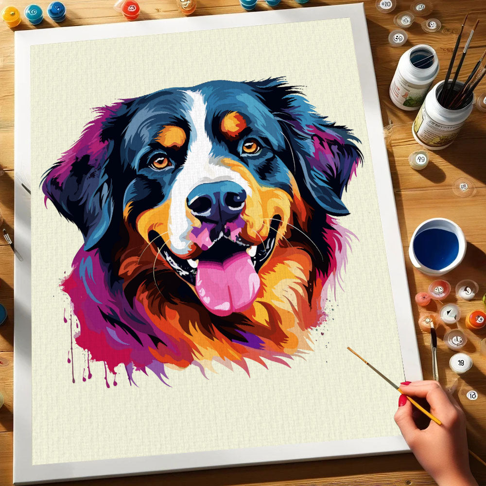 Bernese Mountain - Colorful Dog | Paint by Numbers Kit