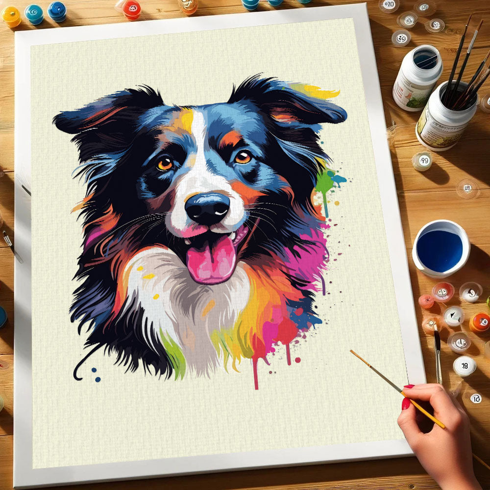 Border Collie - Colorful Dog | Paint by Numbers Kit