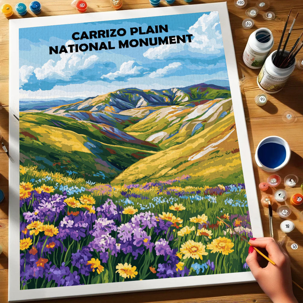 Carrizo Plain National Monument | Paint by Numbers Kit