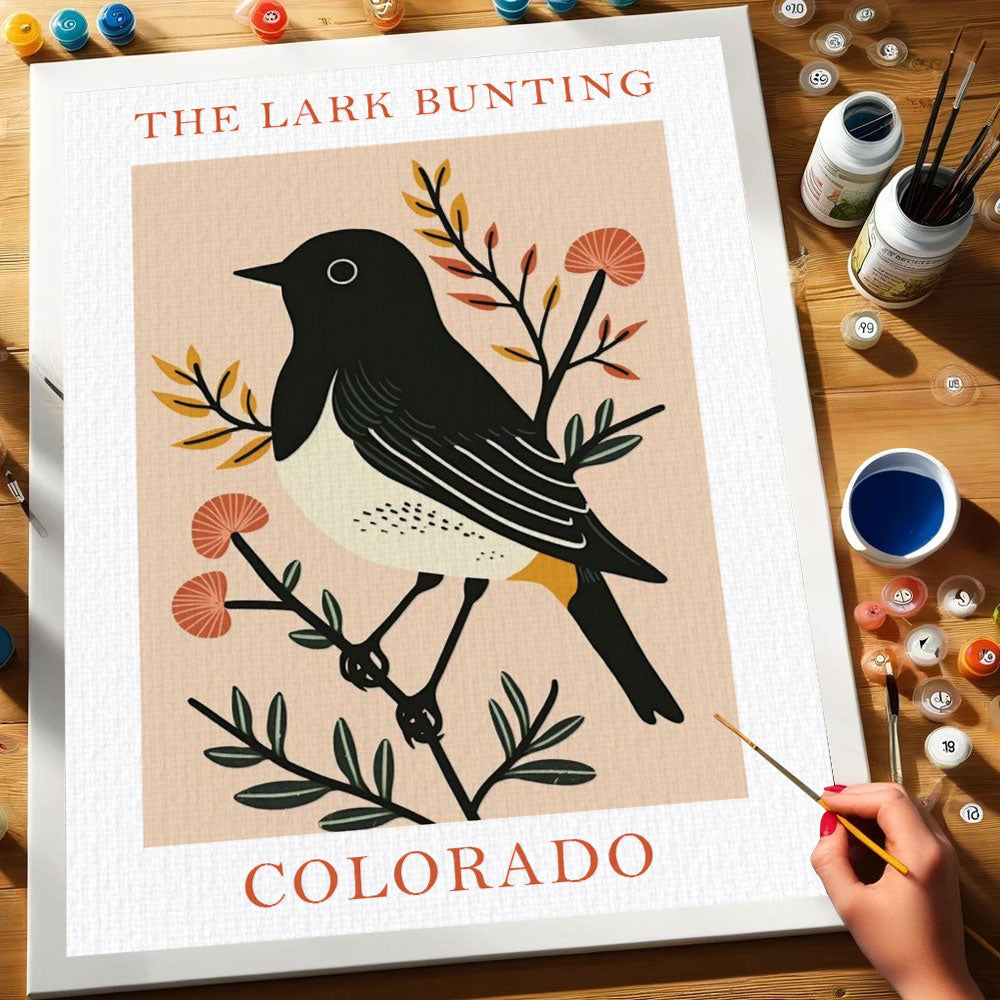 Colorado State Bird Lark Bunting | Paint by Numbers Kit