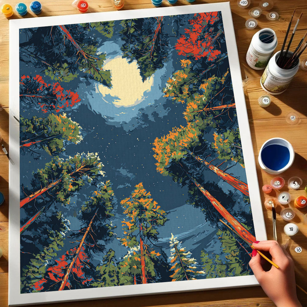 Forest Moonlight | Paint by Numbers Kit