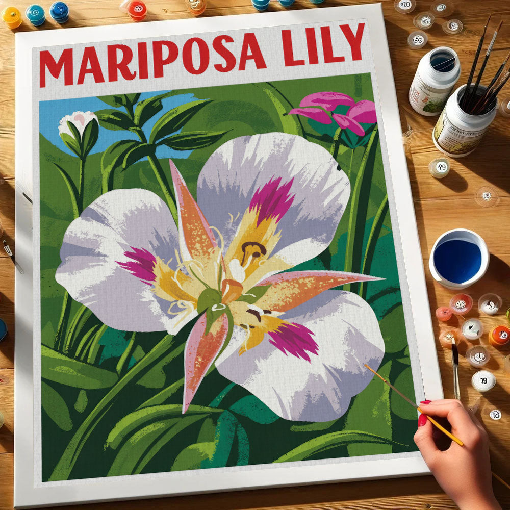 Mariposa Lily - US Wildflowers | Paint by Numbers Kit